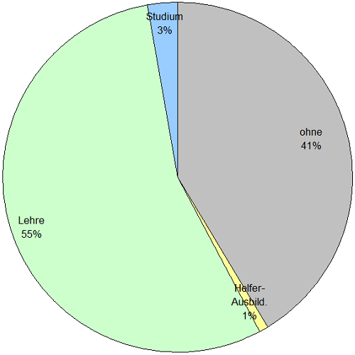 Chart::Berufliche_Qualifikation